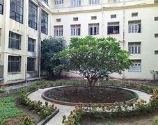 Government Medical College, Nagpur

 campus view 4