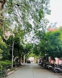 Government Medical College, Akola
 campus view 4