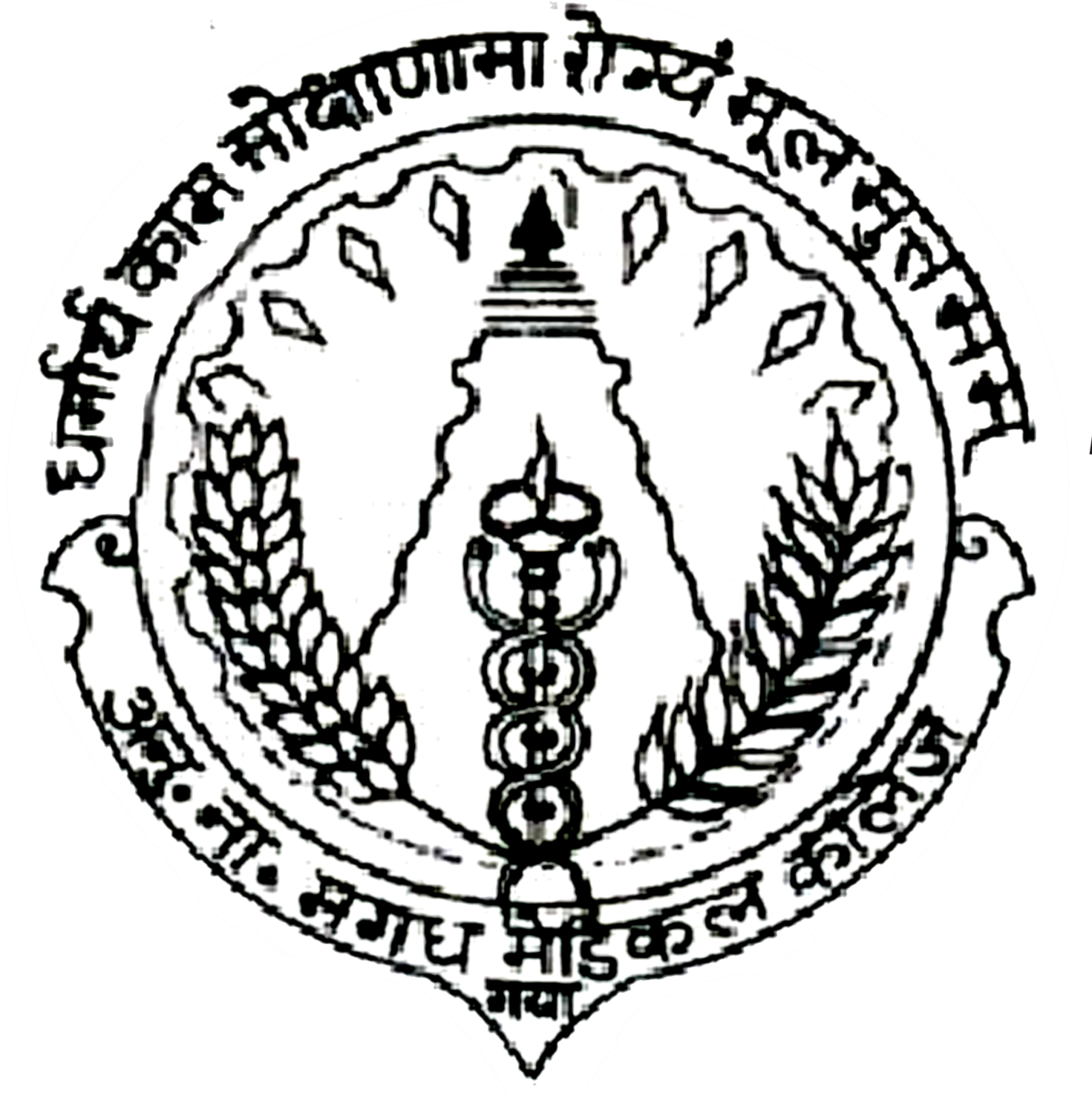 Anugrah Narayan Magadh Medical Colle, Gaya logo