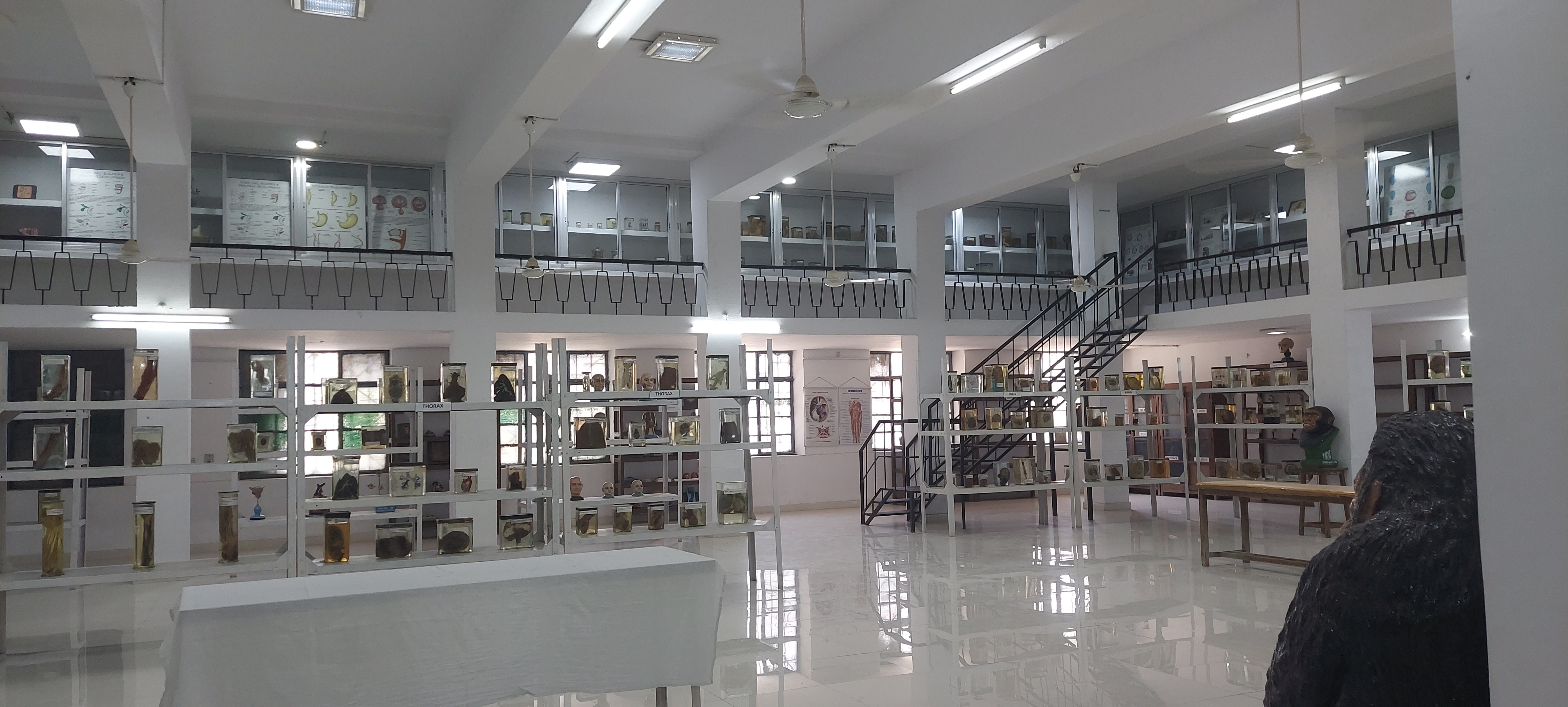 R N T Medical College, Udaipur
 campus view 5