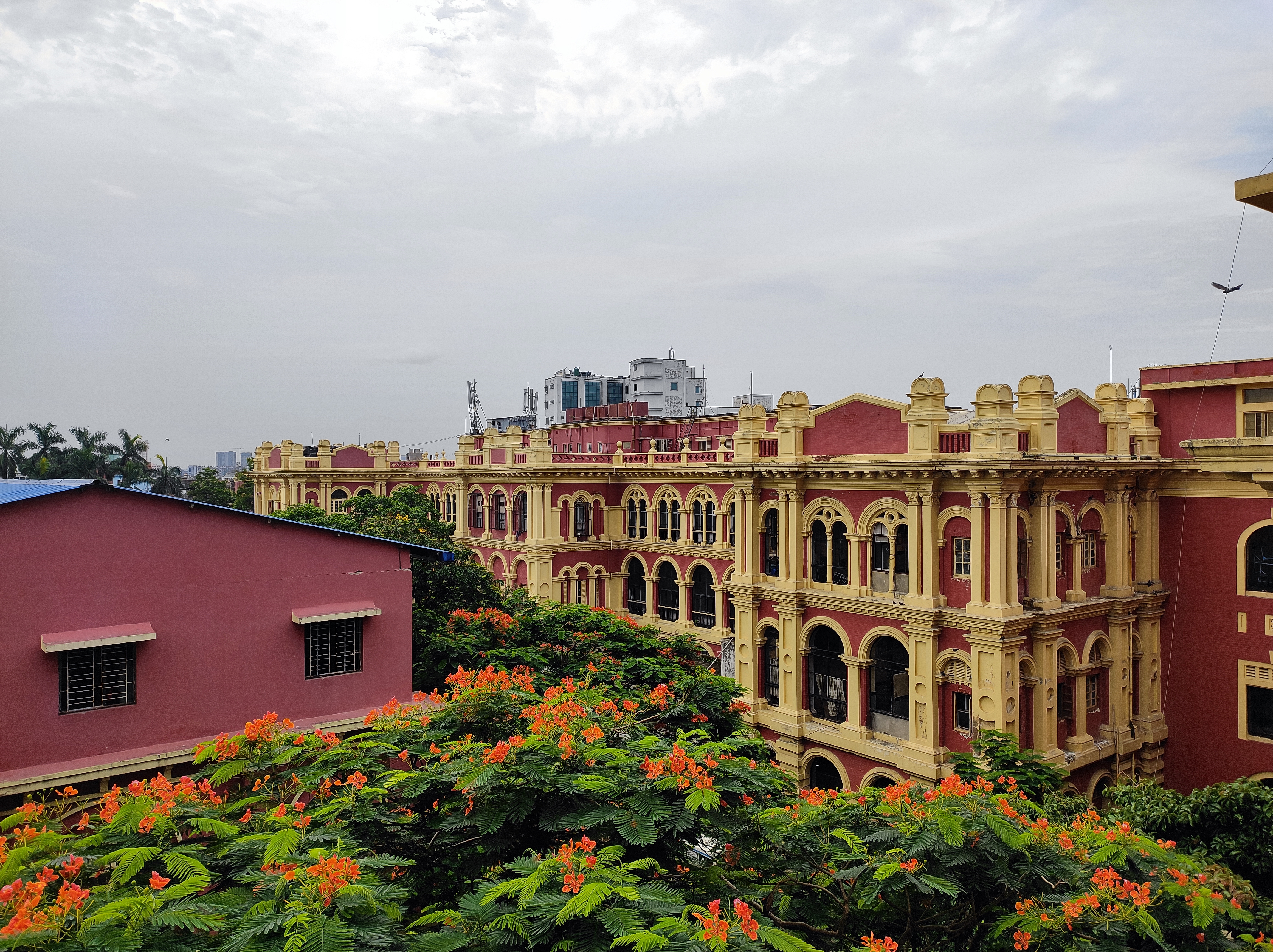 Medical College, Kolkata campus view 5