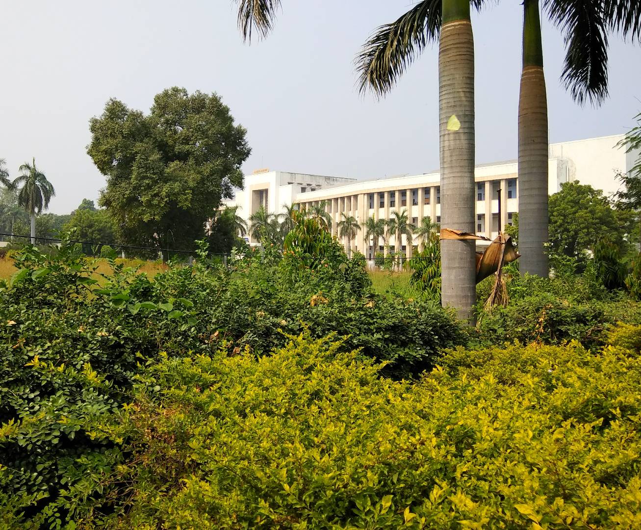 GSVM Medical College, Kanpur
 campus view 3