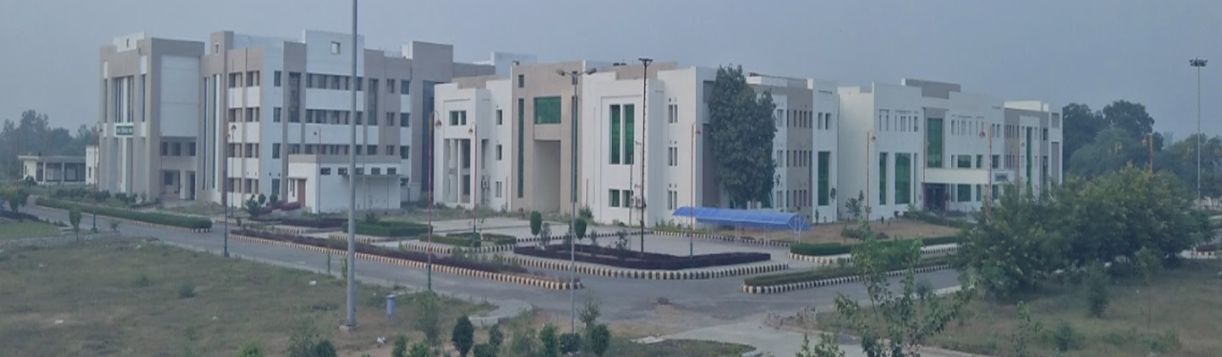 Government Allopathic Medical College, Banda
 campus view 3