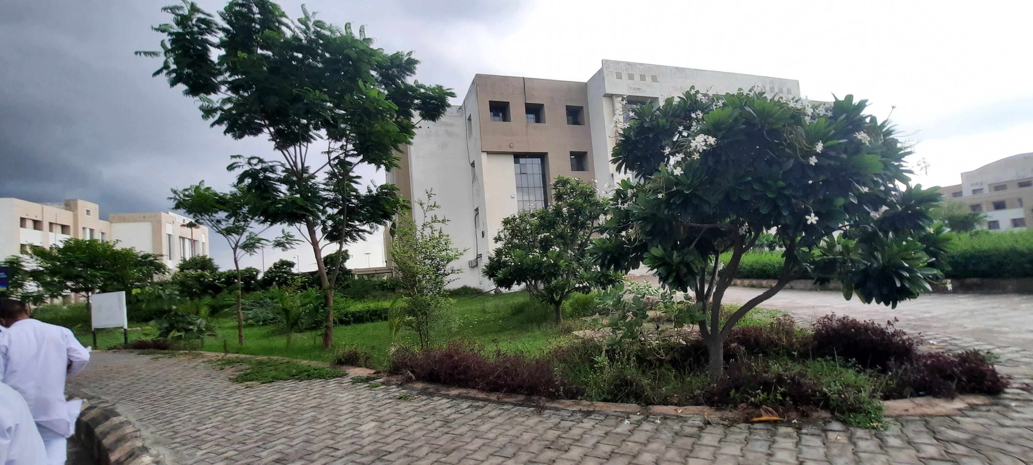 Government Allopathic Medical College, Banda
 campus view 7