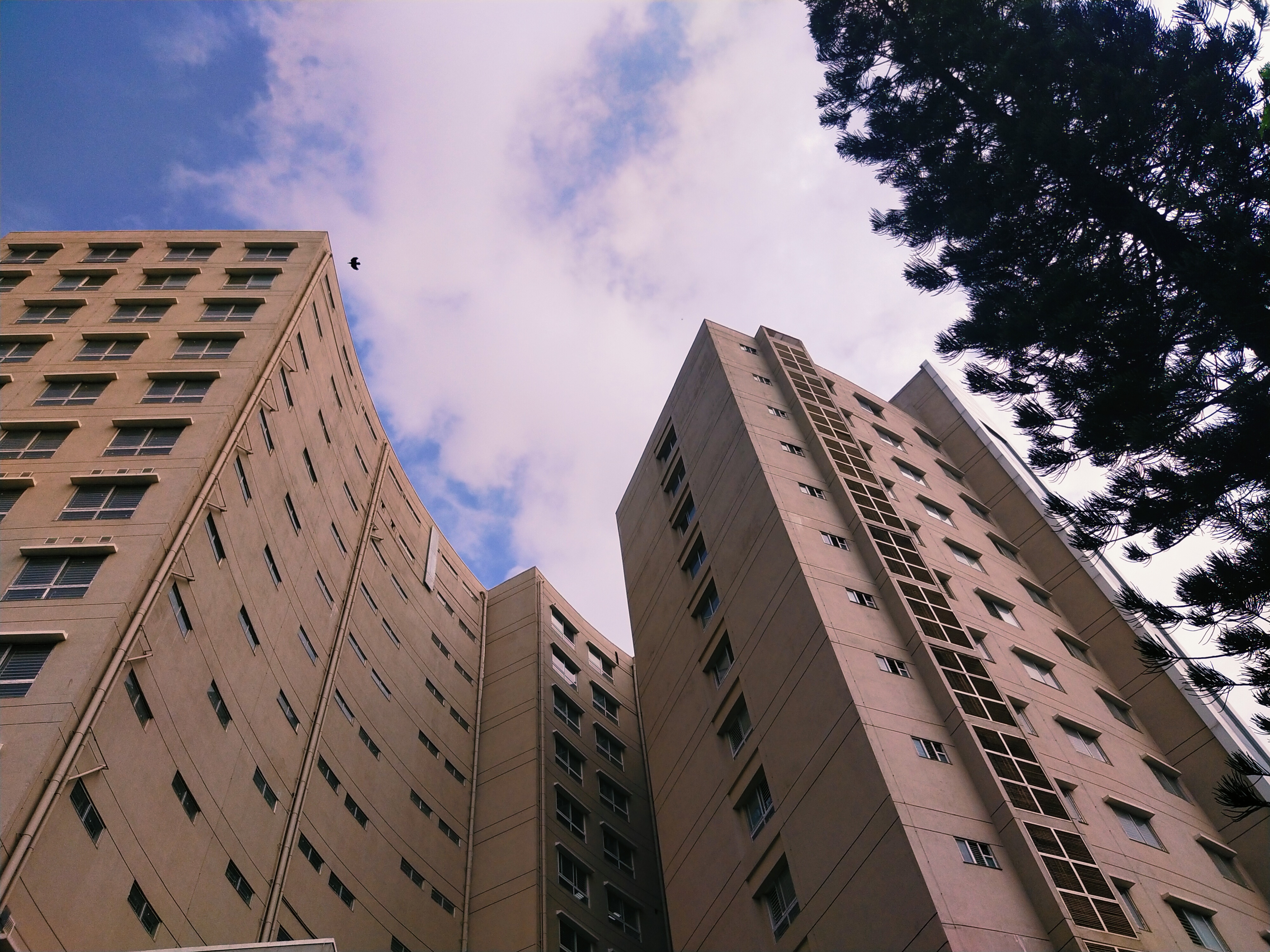 Shri Atal Bihari Vajpayee Medical College & Research Institute, Bengaluru
 campus view 11