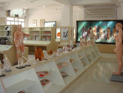 Raichur Institute of Medical Sciences,Raichur

 campus view 13