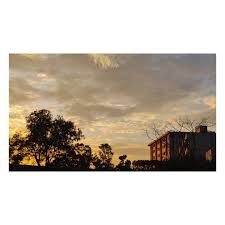 Kodagu Institute of Medical Sciences, Kodagu

 campus view 13