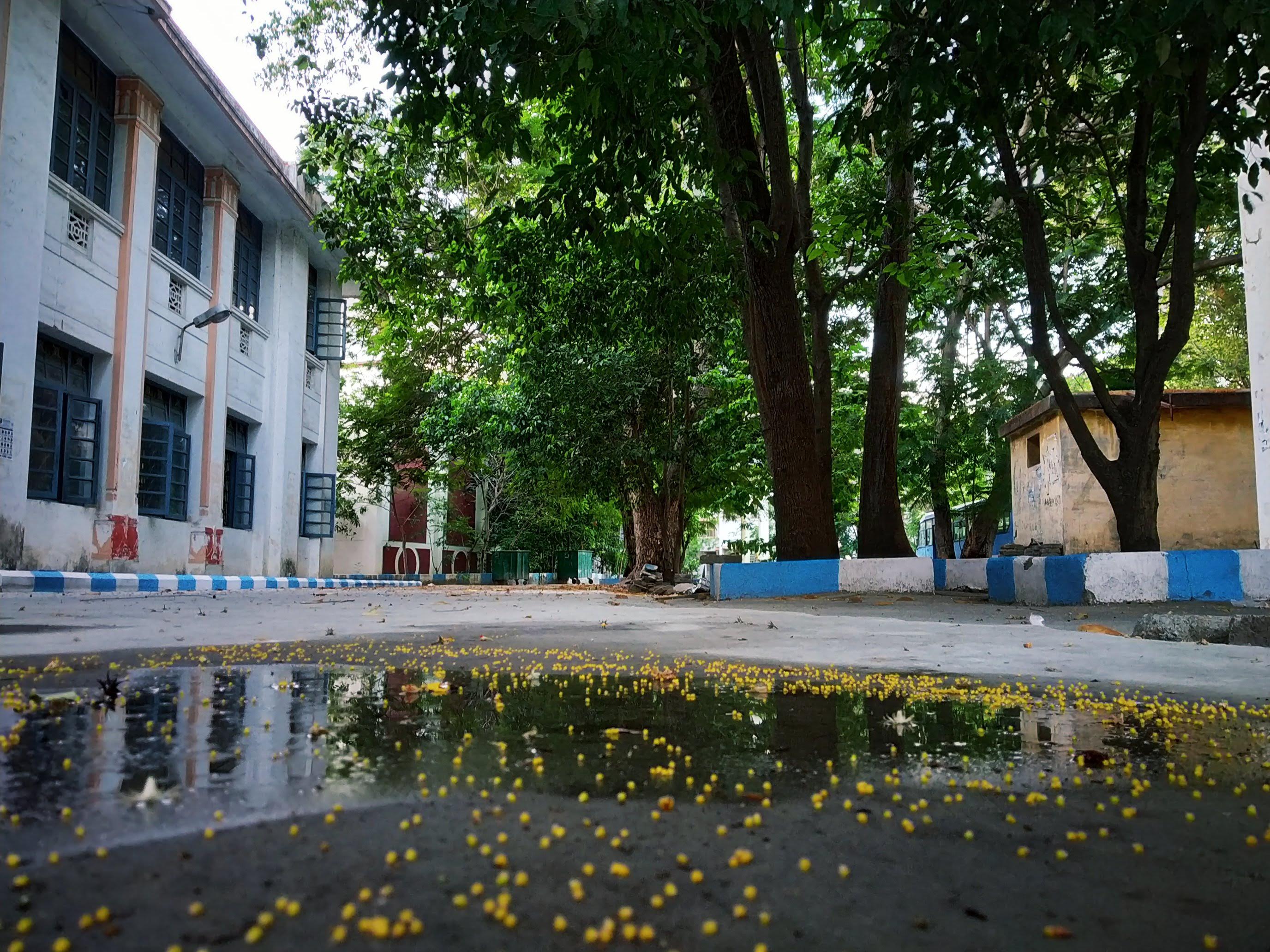 Kilpauk Medical College, Chennai

 campus view 11