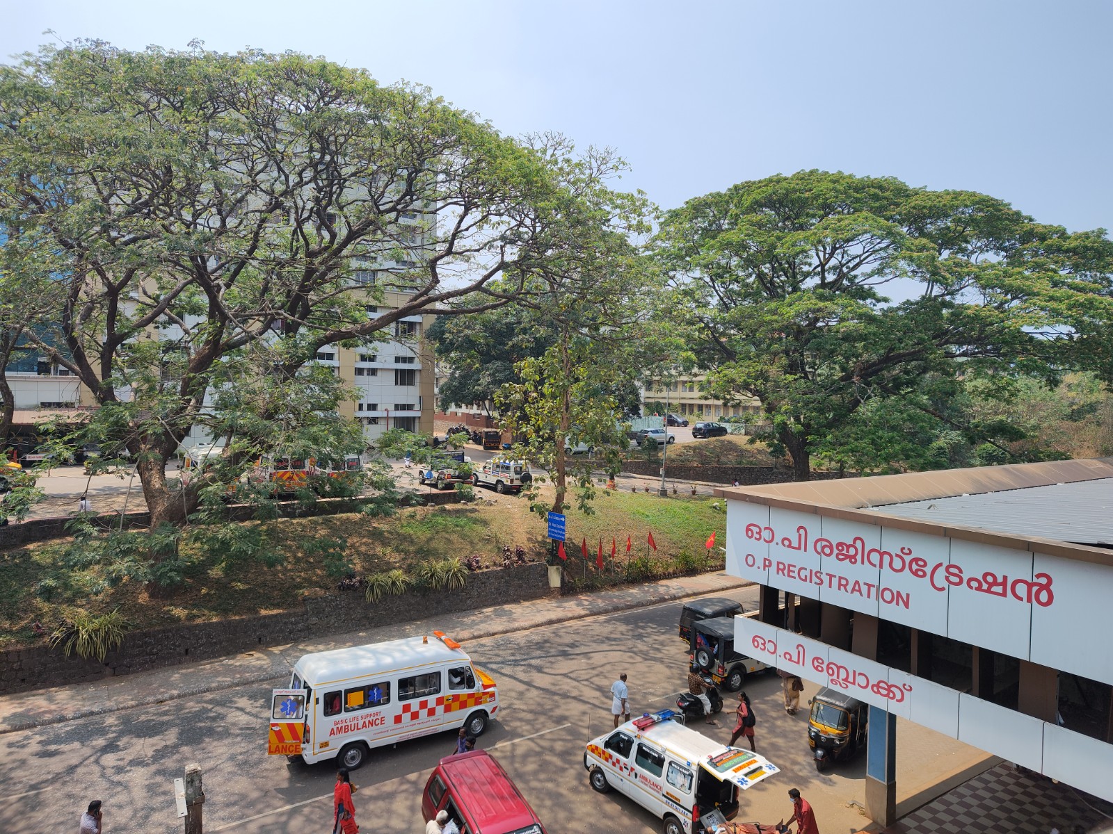 Government Medical College, Kottayam
campus view 7