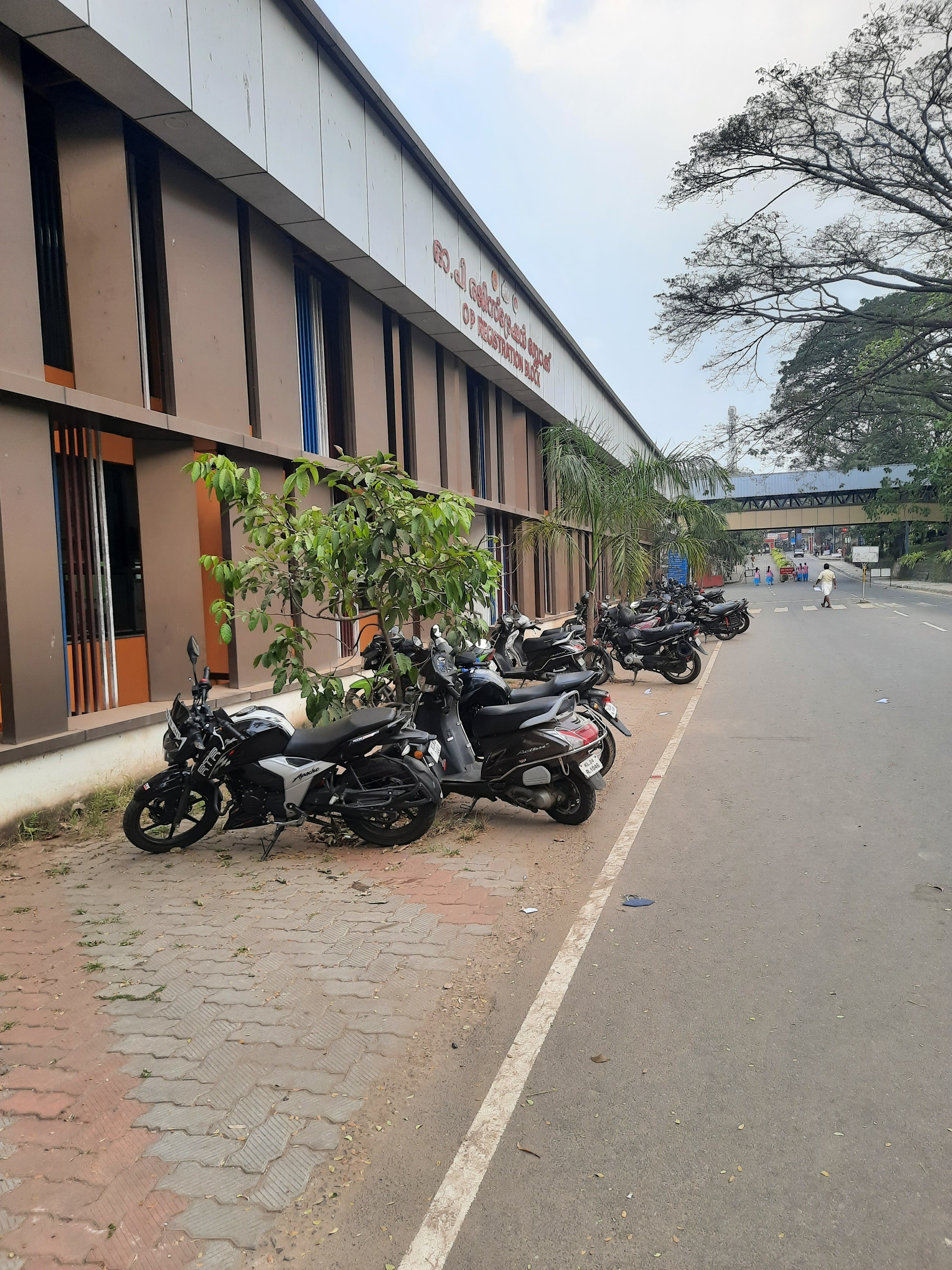 Government Medical College, Kottayam
campus view 11