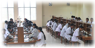 Government Medical College, Ernakulam

 campus view 3