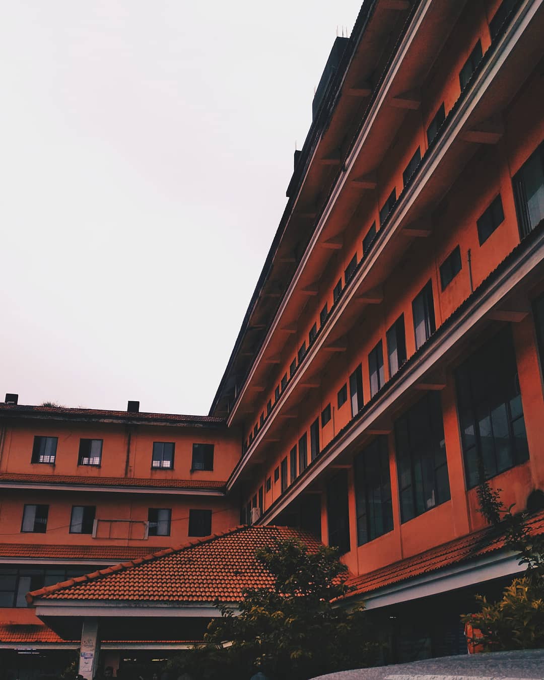 Government Medical College, Manjeri

 campus view 1