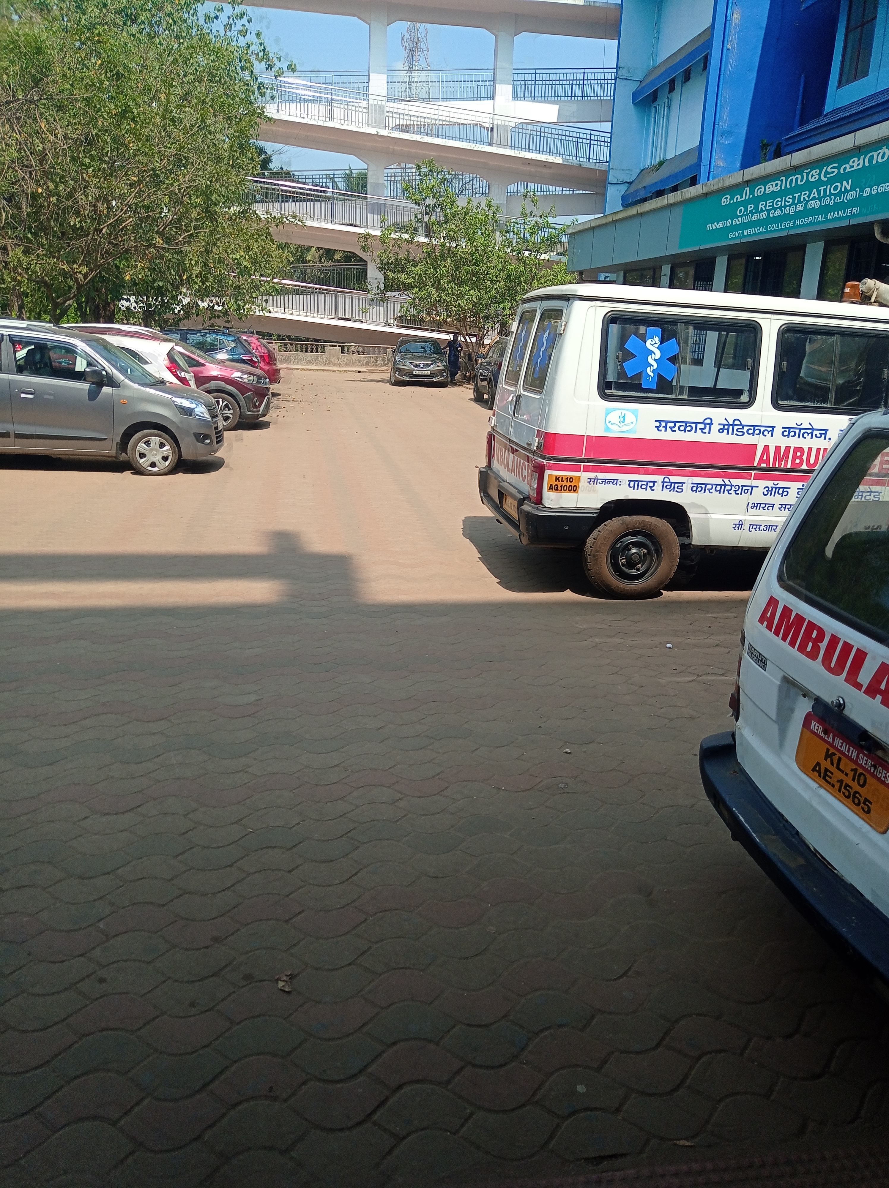 Government Medical College, Manjeri

 campus view 12
