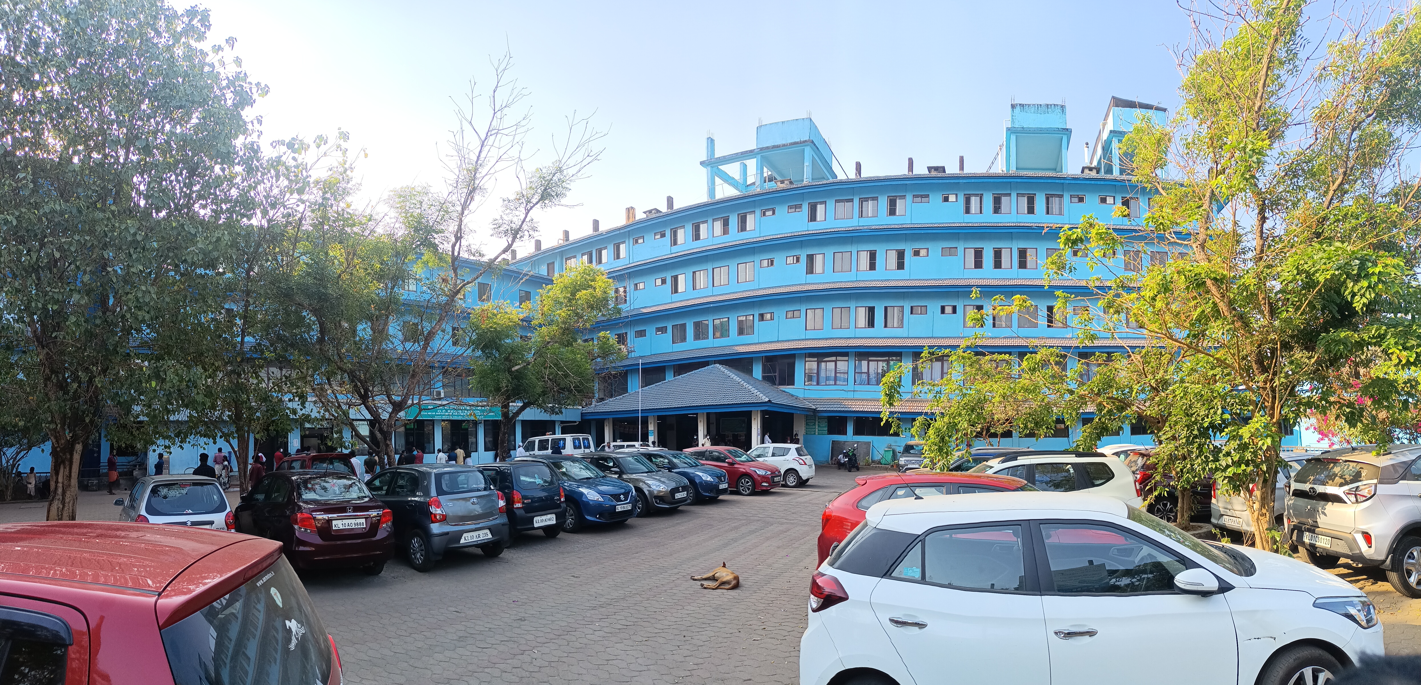 Government Medical College, Manjeri

 campus view 13