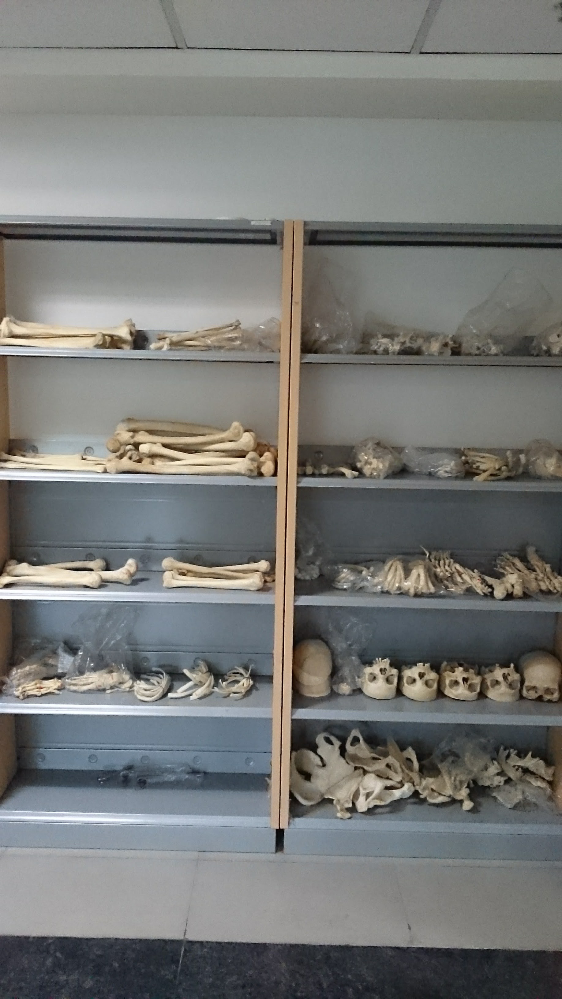 Employees State Insurance Coporation Medical College, Sanath Nagar

 campus view 2