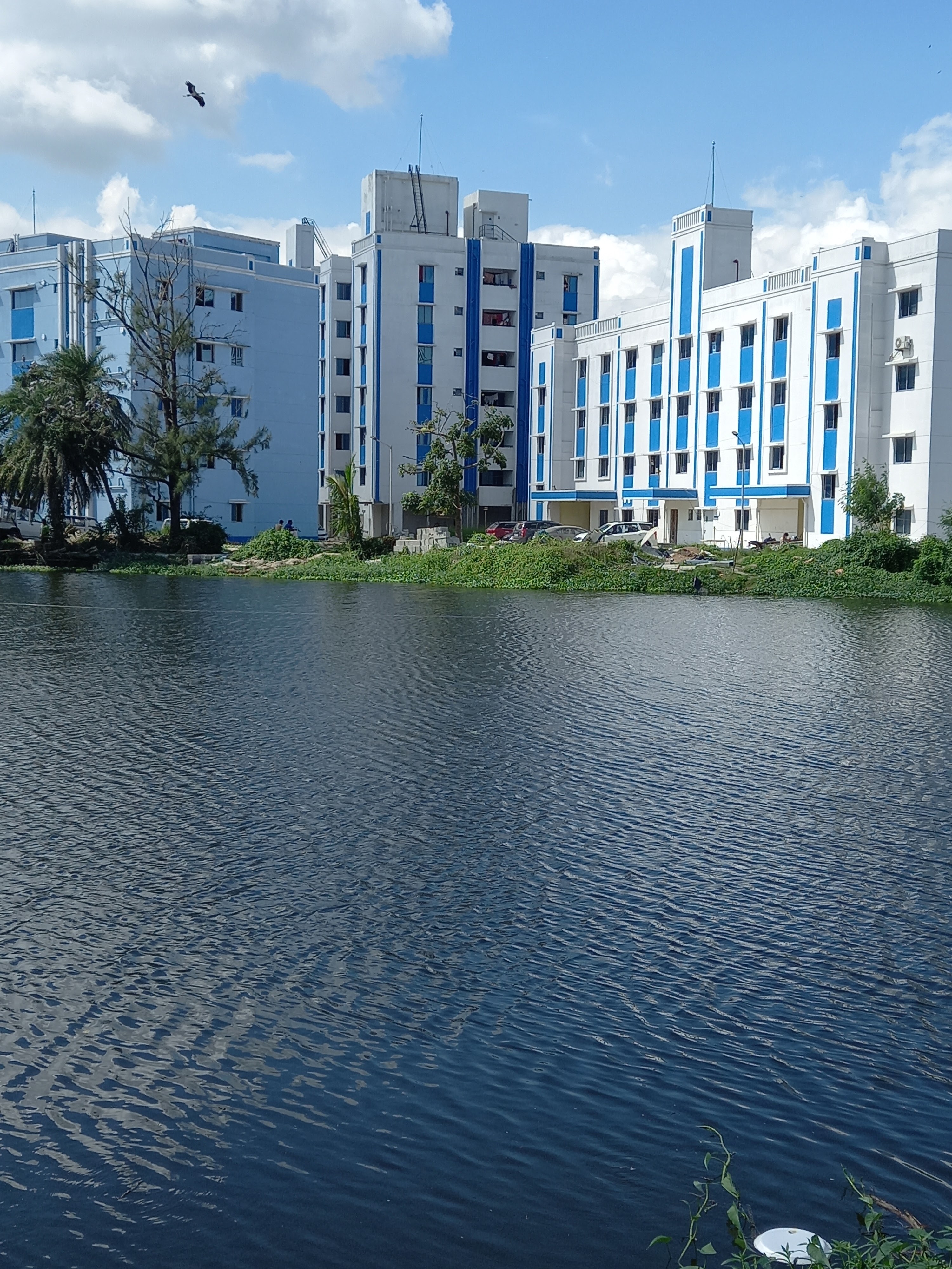 College Campus Image