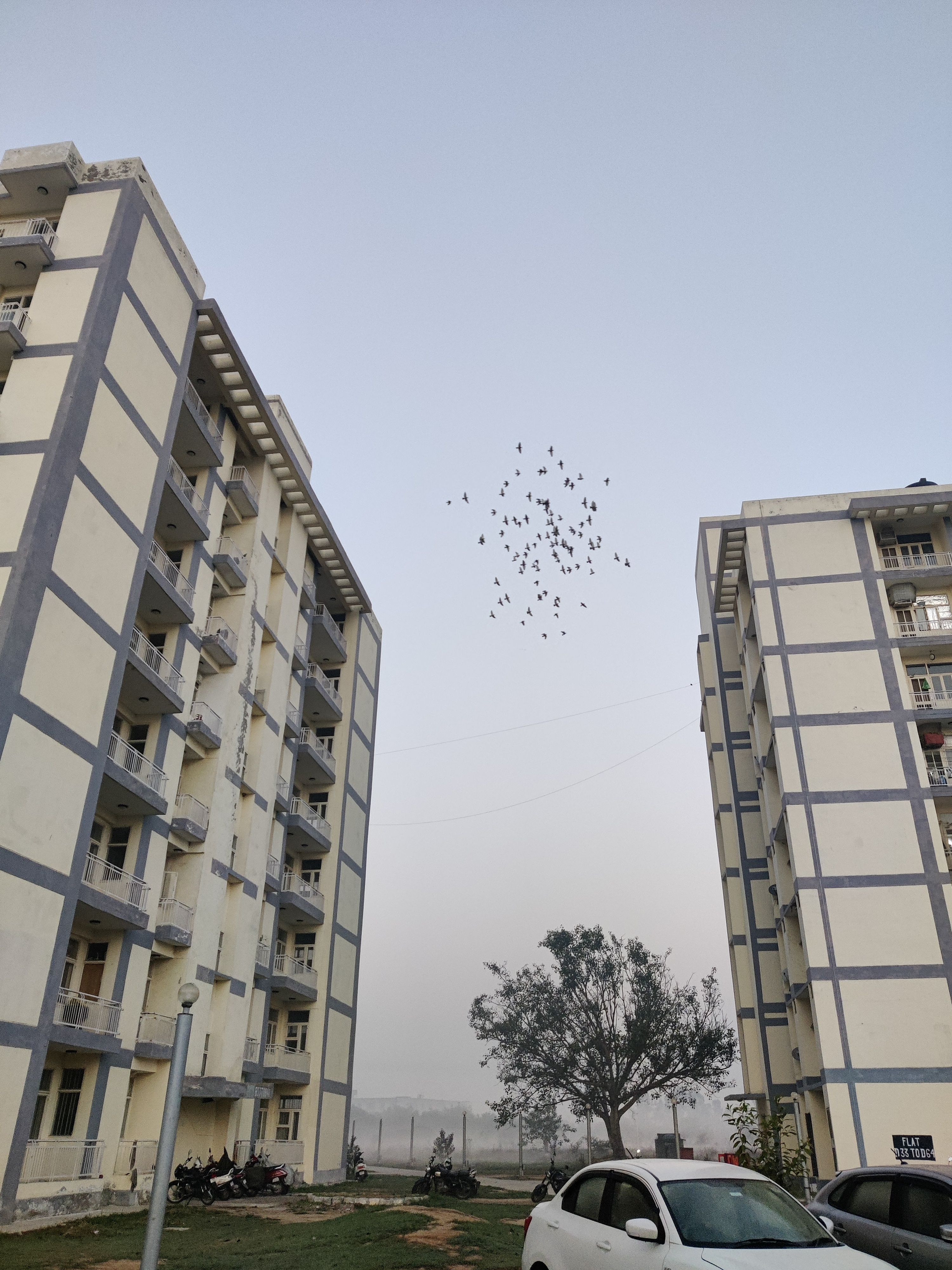 BPS Government Medical College for Women, Sonepat campus view 4