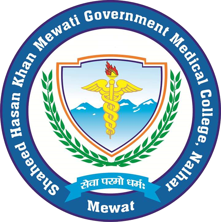 Shaheed Hasan Khan Mewati Government Medical College, Nalhar logo
