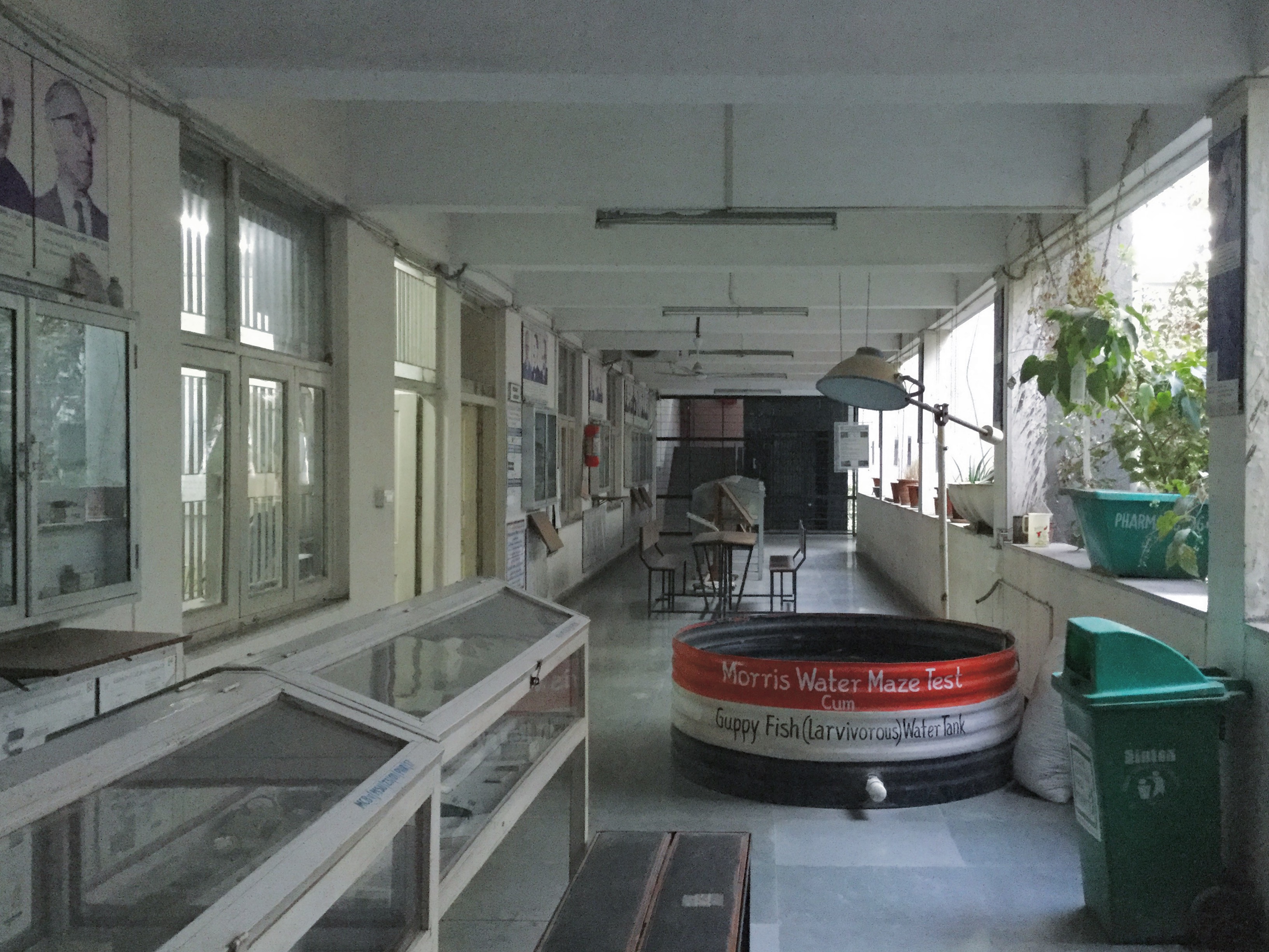 Government Medical College, Bhavnagar campus view 3