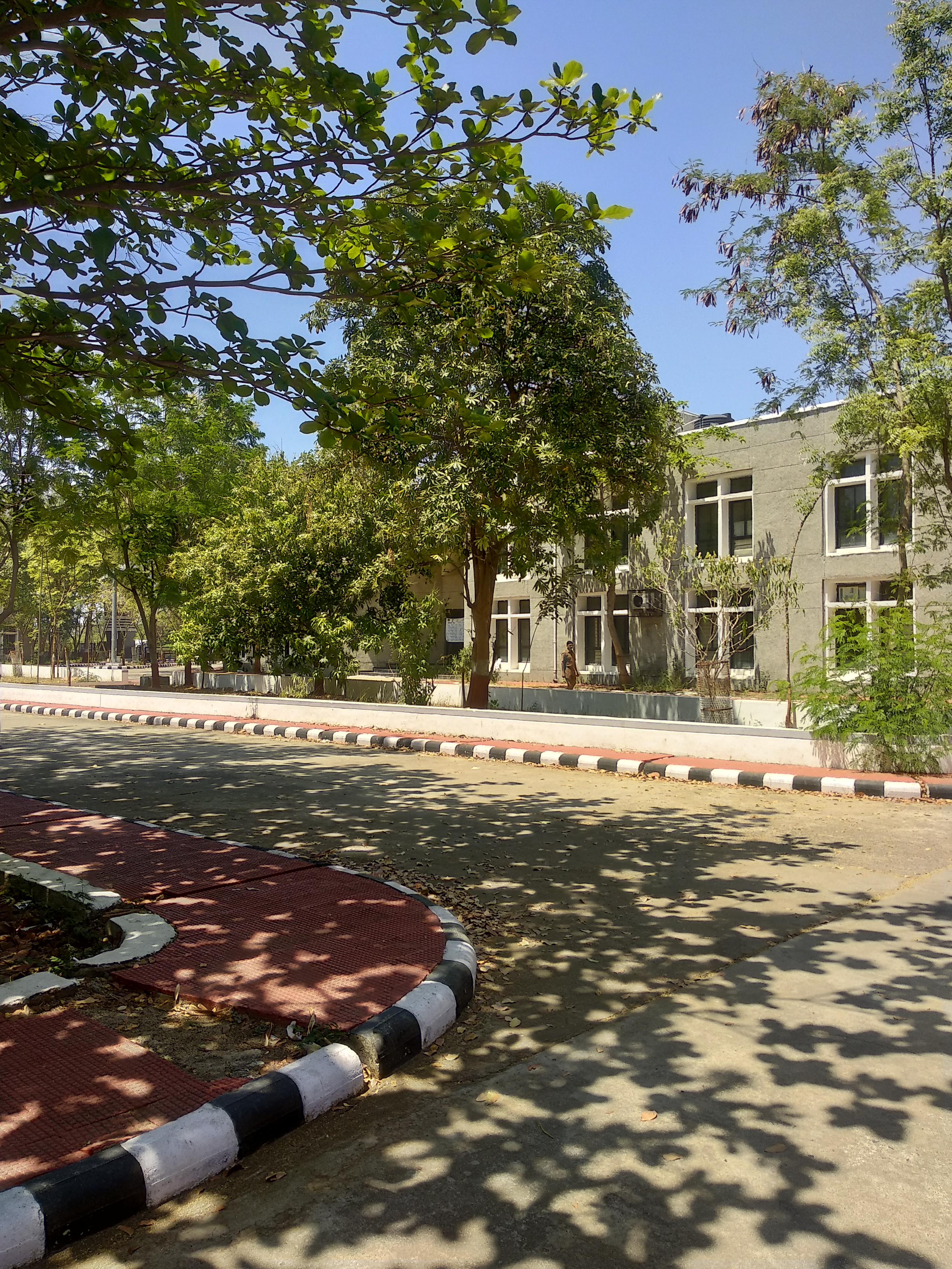 Government Medical College, Panchmahal campus view 5