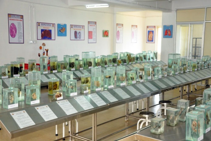 GITAM Institute of Medical Sciences and Research, Visakhapatnam campus view 3