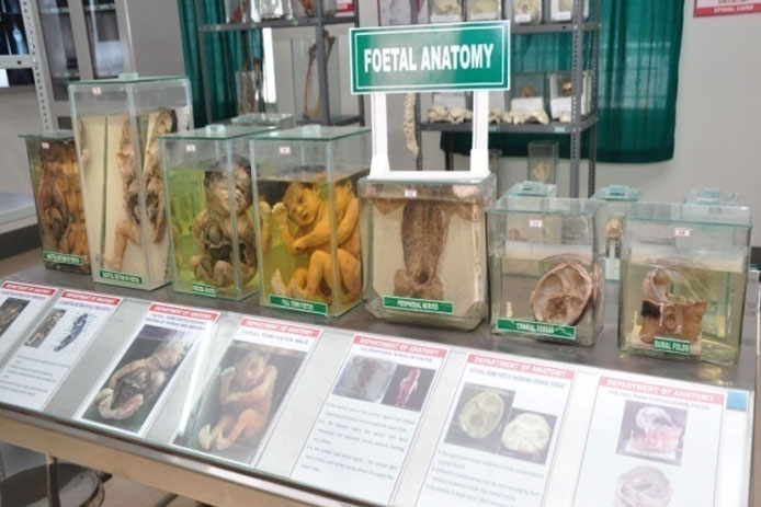 GITAM Institute of Medical Sciences and Research, Visakhapatnam campus view 6