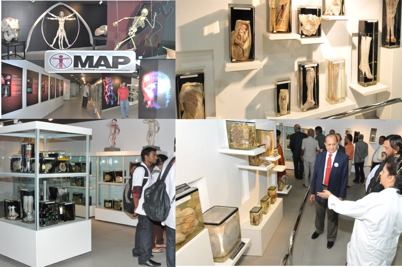 Kasturba Medical College, Manipal campus view 4