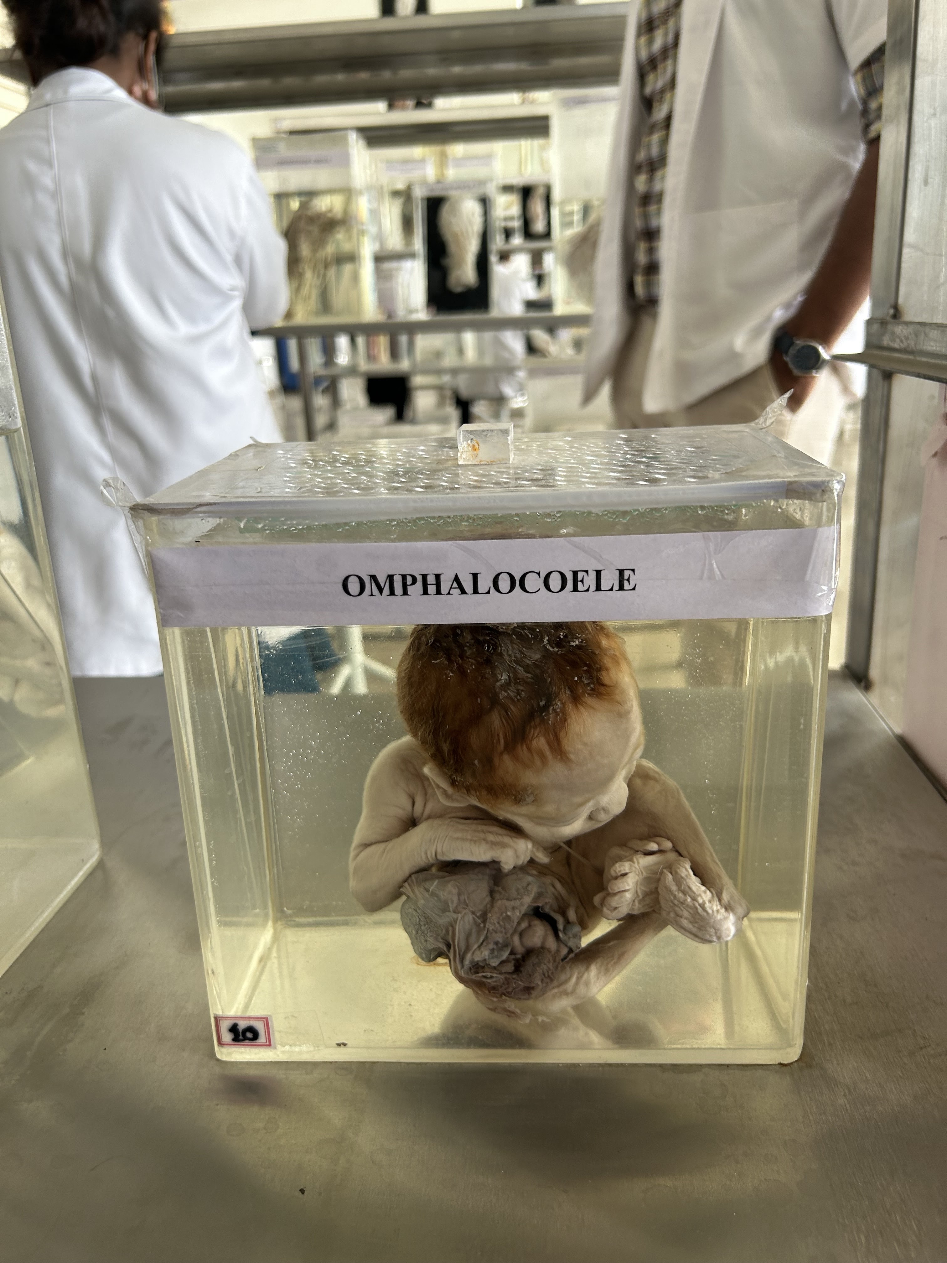 Sri Siddhartha Institute of Medical Sciences & Research Centre, T. Begur campus view 5