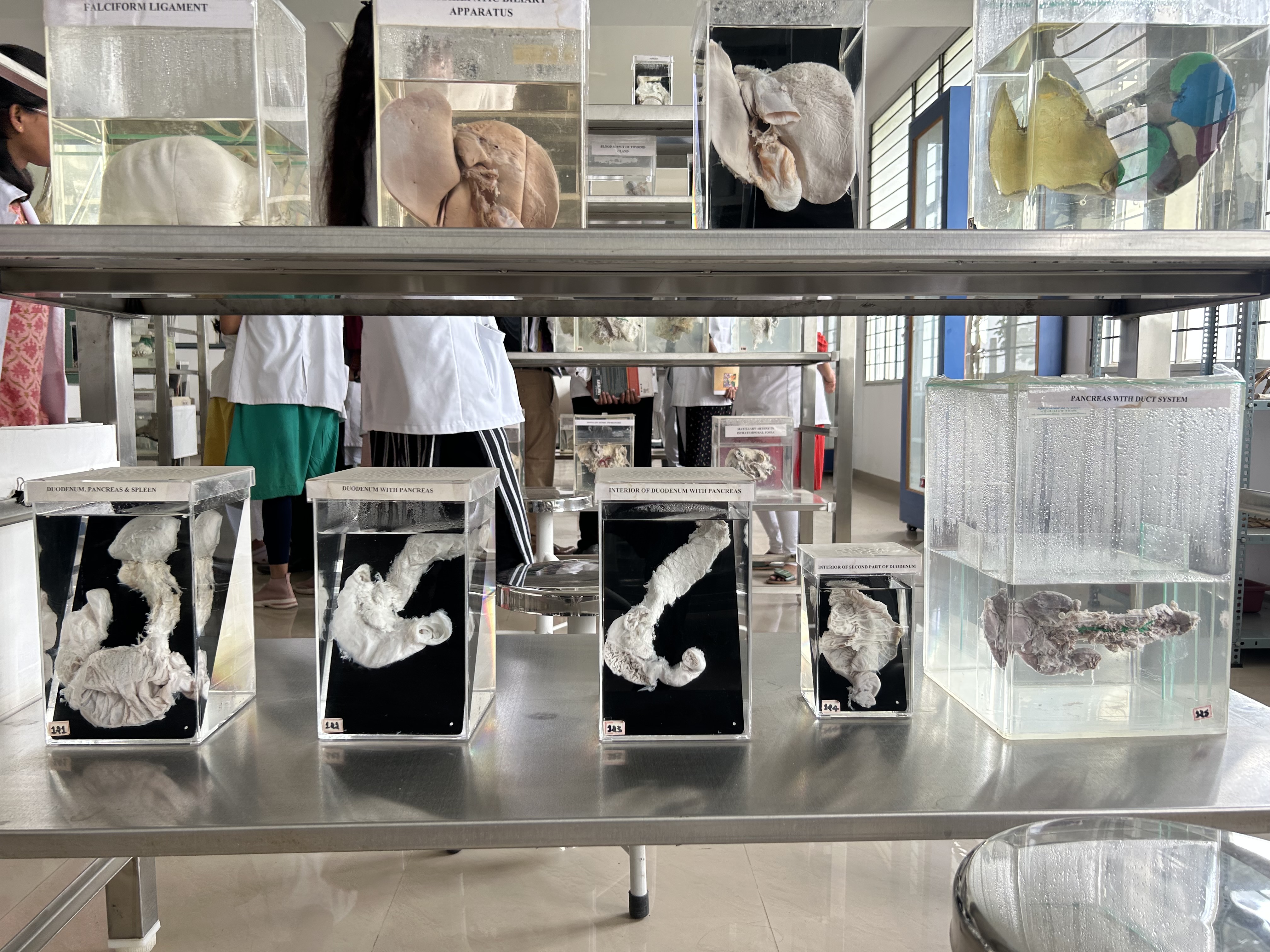 Sri Siddhartha Institute of Medical Sciences & Research Centre, T. Begur campus view 9