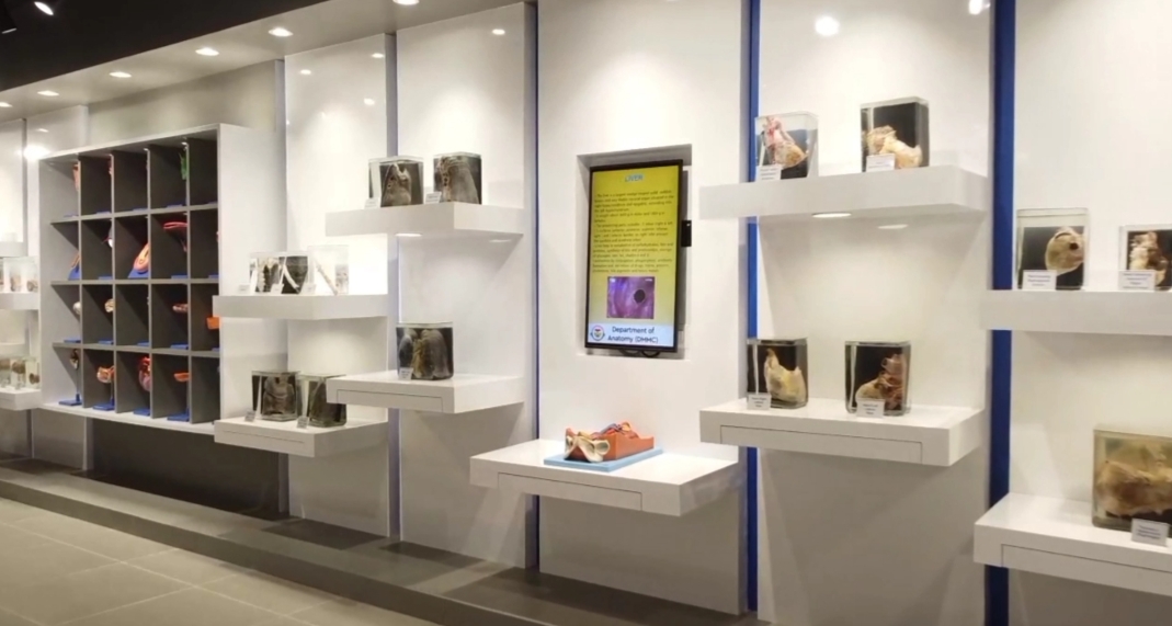 Datta Meghe Medical College, Nagpur campus view 10