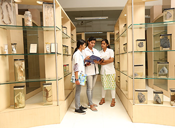 Krishna Institute of Medical Sciences, Karad campus view 1