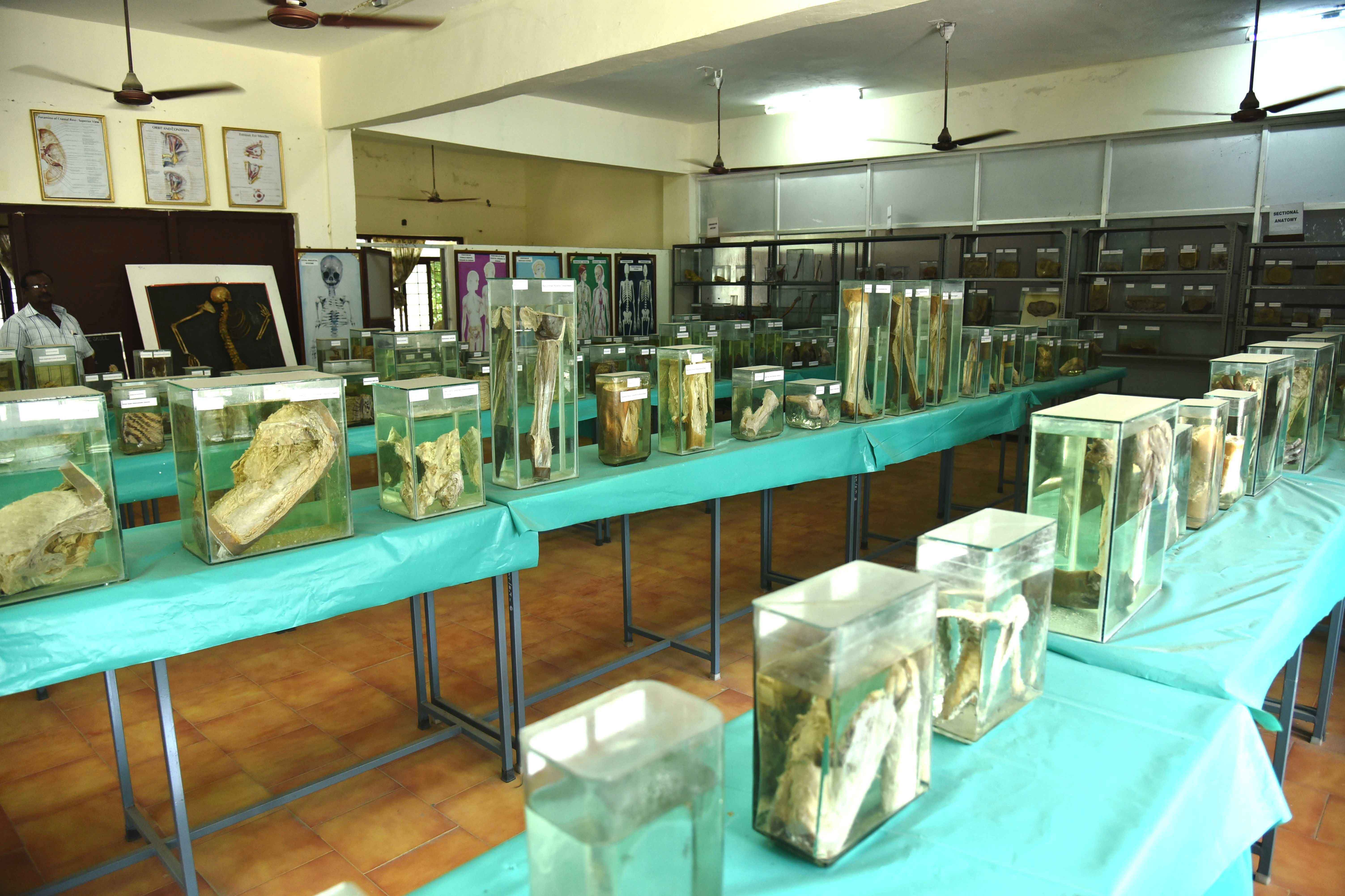 Vinayaka Missions Medical College, Karaikal, Pondicherry campus view 11