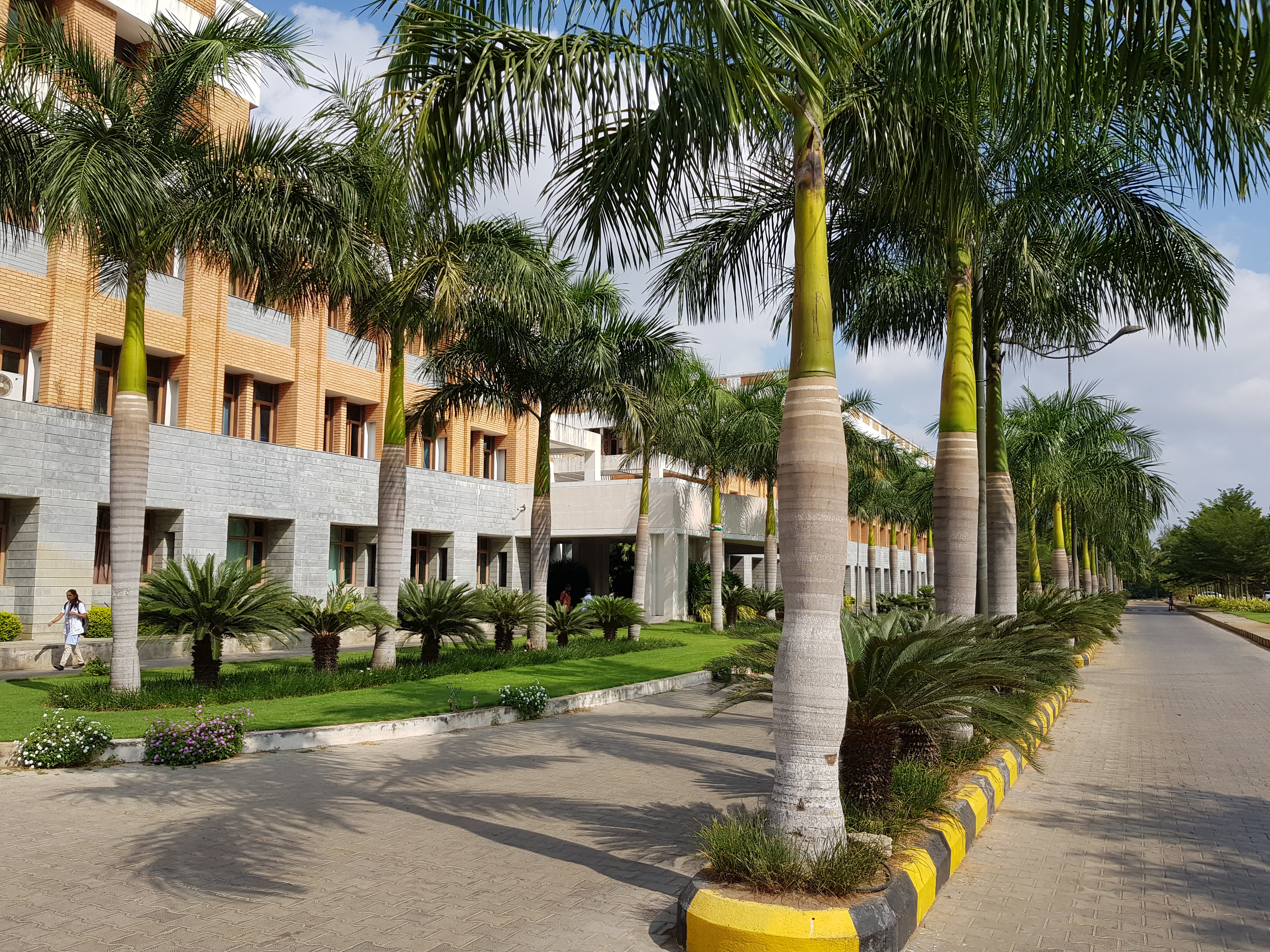 College Campus Image
