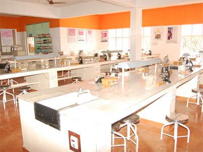 College Campus Image