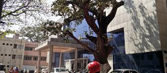 SCB Dental College, Cuttack campus view 3