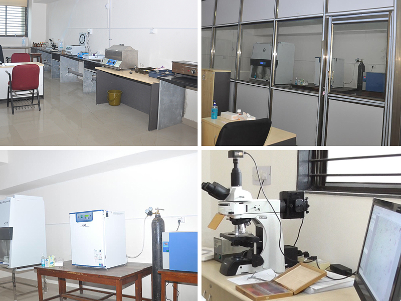 Government Dental College and Hospital, Jamnagar campus view 2