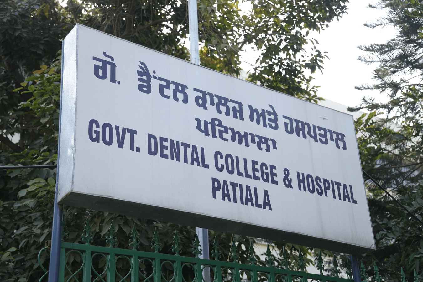 Government Dental College and Hospital, Patiala campus view 6
