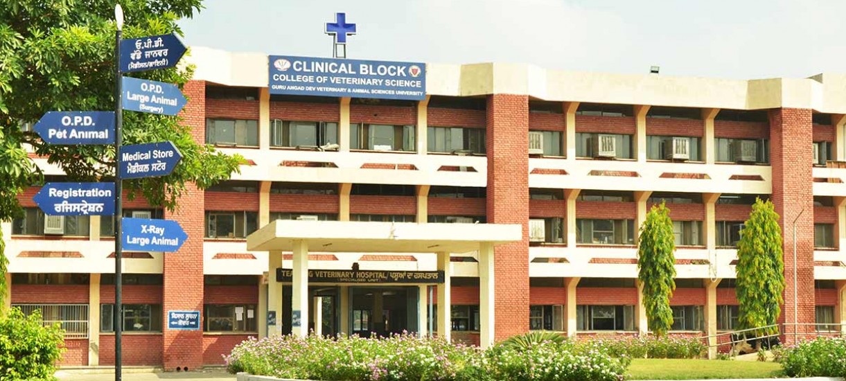 College of Veterinary Science, Ludhiana campus