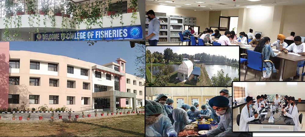College of Veterinary Science, Ludhiana campus view 4