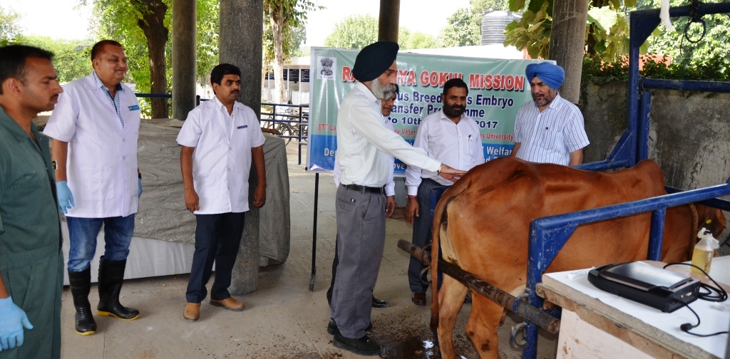 College of Veterinary Science, Ludhiana campus view 5