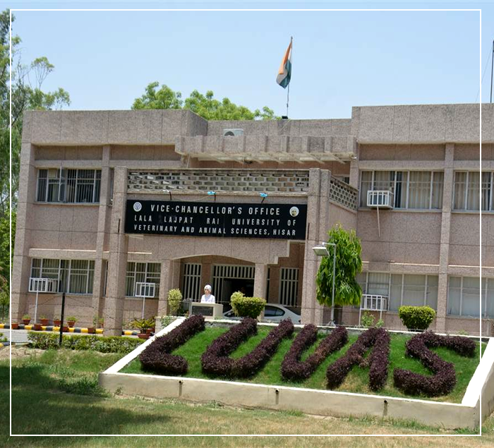 College of Veterinary Science (COVS), Hisar campus