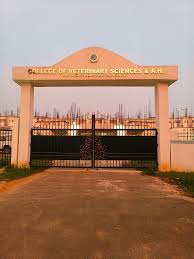 Featured image of college