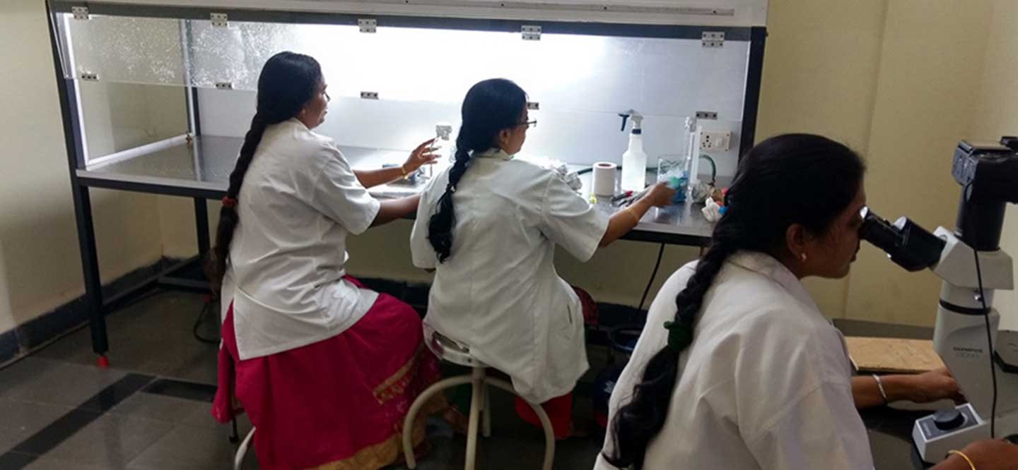 NTR College of Veterinary Science, Gannavaram campus view 1