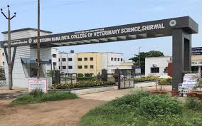 College Campus Image