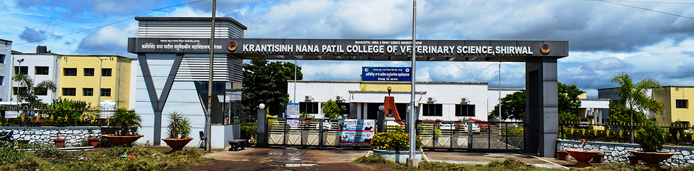 Featured image of college