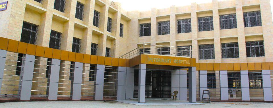 College of Veterinary Science & AH, Selesih, Aizawl campus view 3