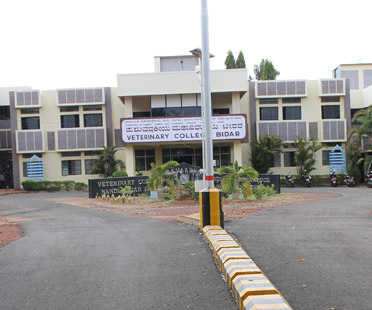 Veterinary College, Nandinagar, Bidar campus view 1