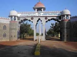 Veterinary College, Nandinagar, Bidar campus view 4