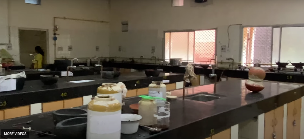 National Institute of Ayurveda, Jaipur  campus view 4