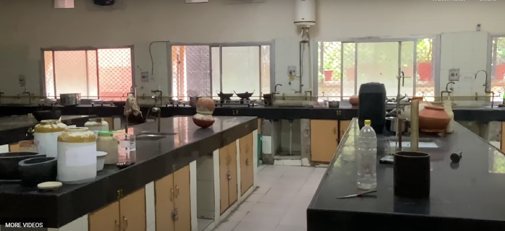 National Institute of Ayurveda, Jaipur  campus view 9